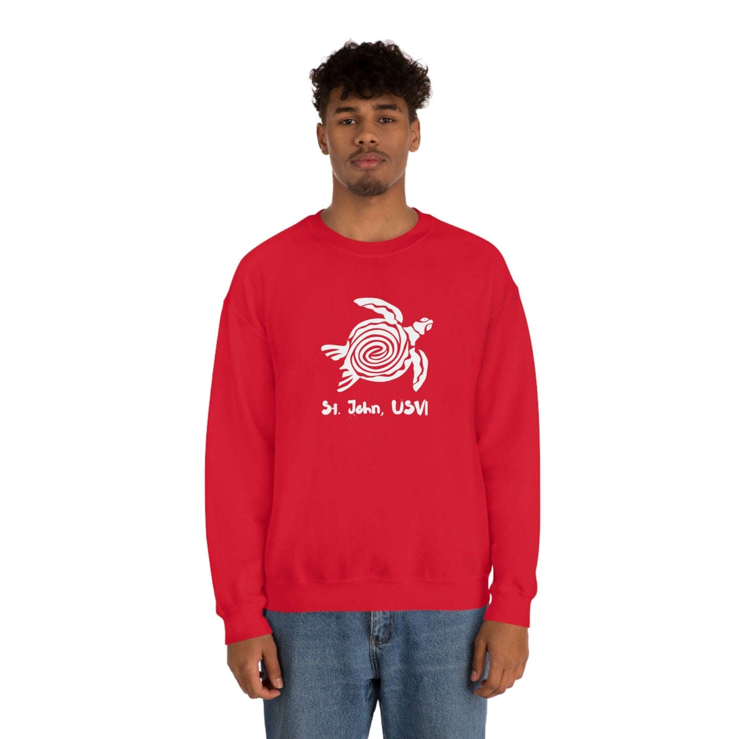 Swirl Turtle Crewneck Sweatshirt