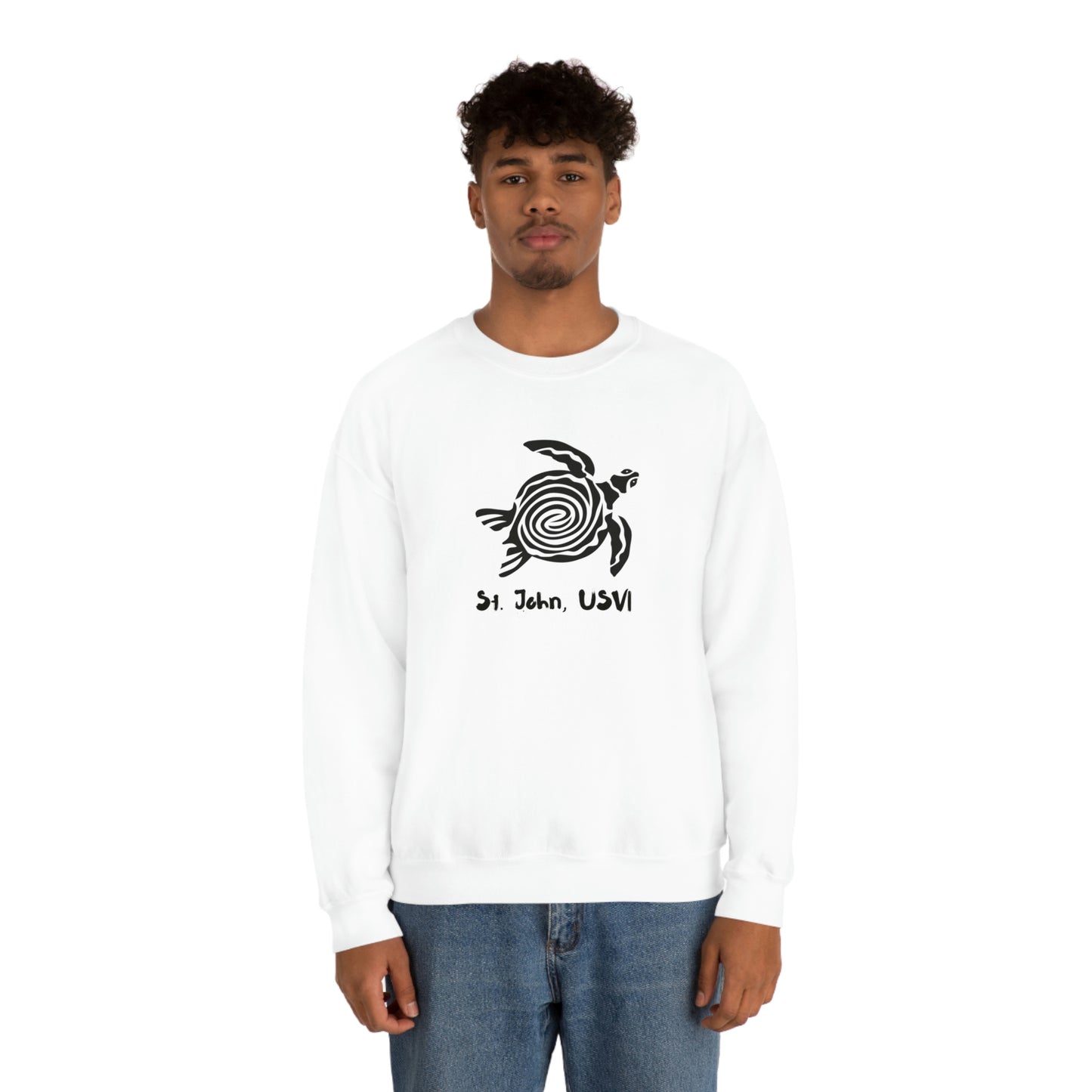 Swirl Turtle Crewneck Sweatshirt