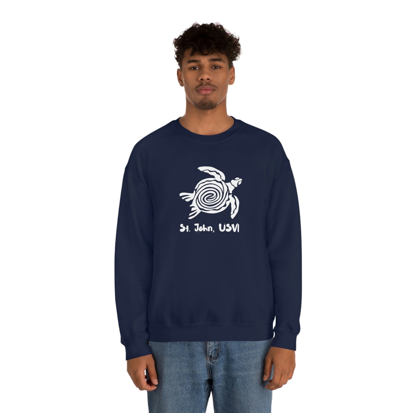 Swirl Turtle Crewneck Sweatshirt