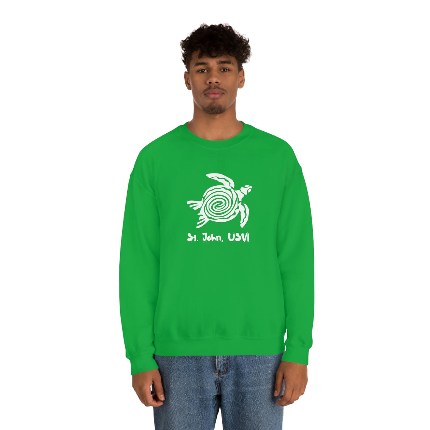 Swirl Turtle Crewneck Sweatshirt