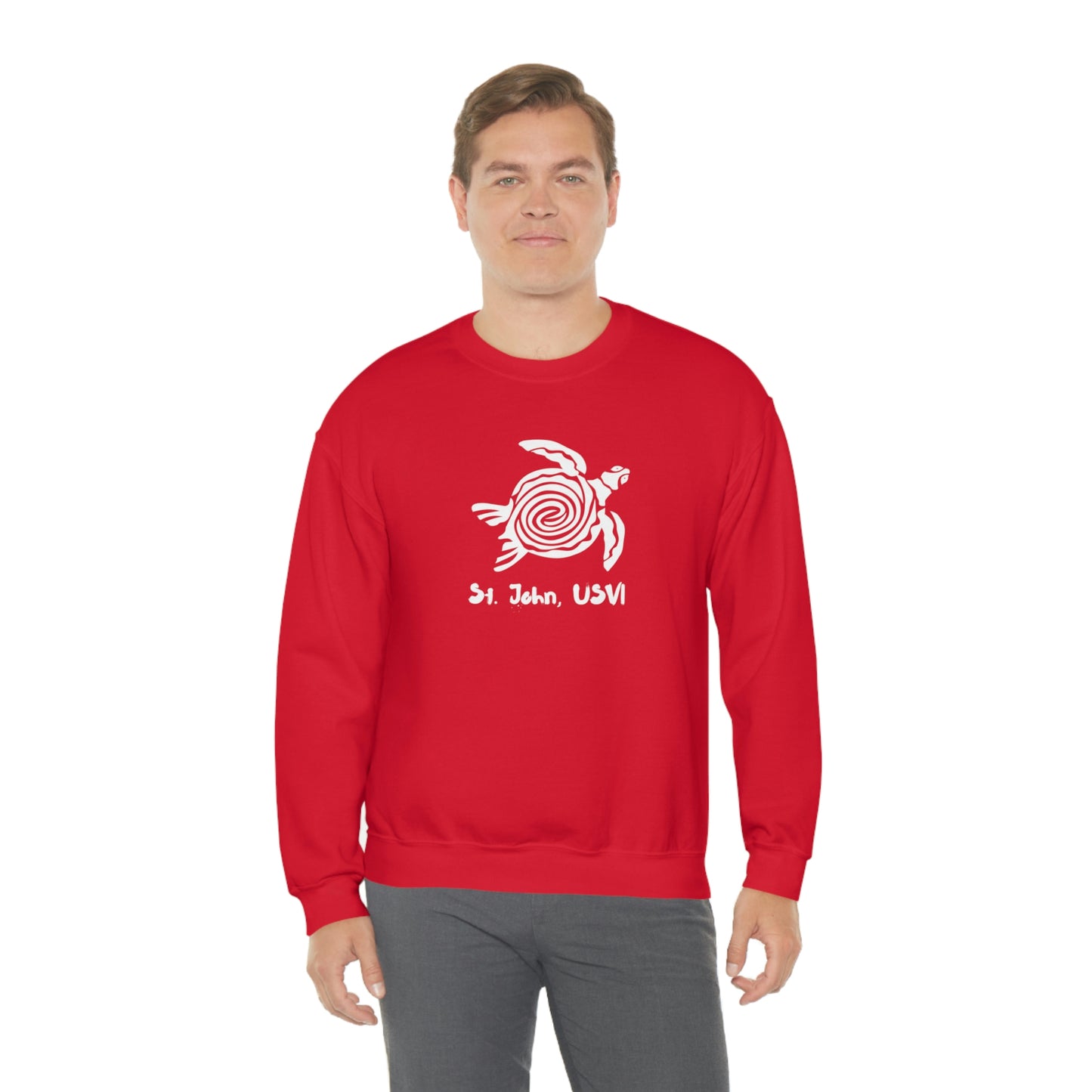 Swirl Turtle Crewneck Sweatshirt