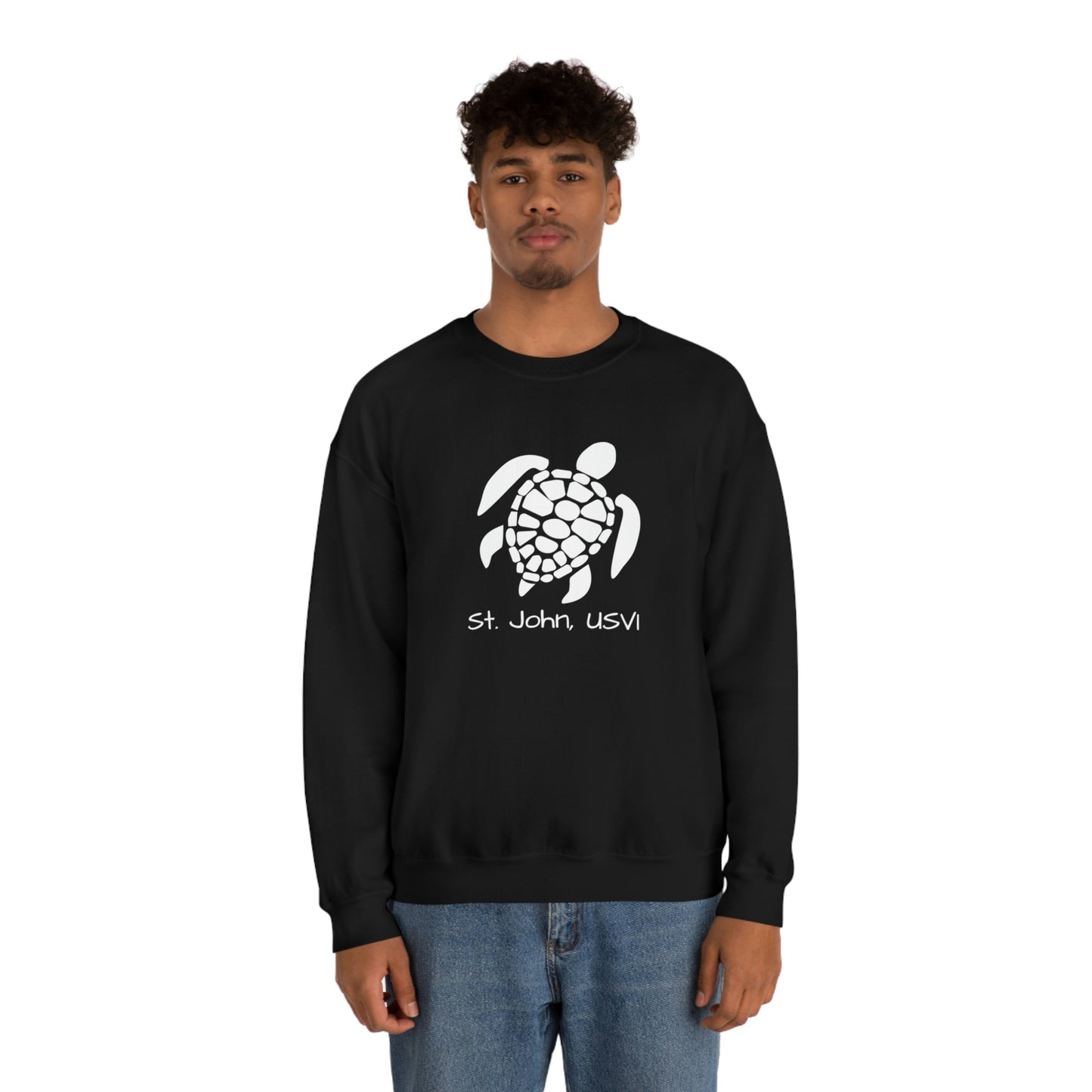 Pattern Turtle Crewneck Sweatshirt