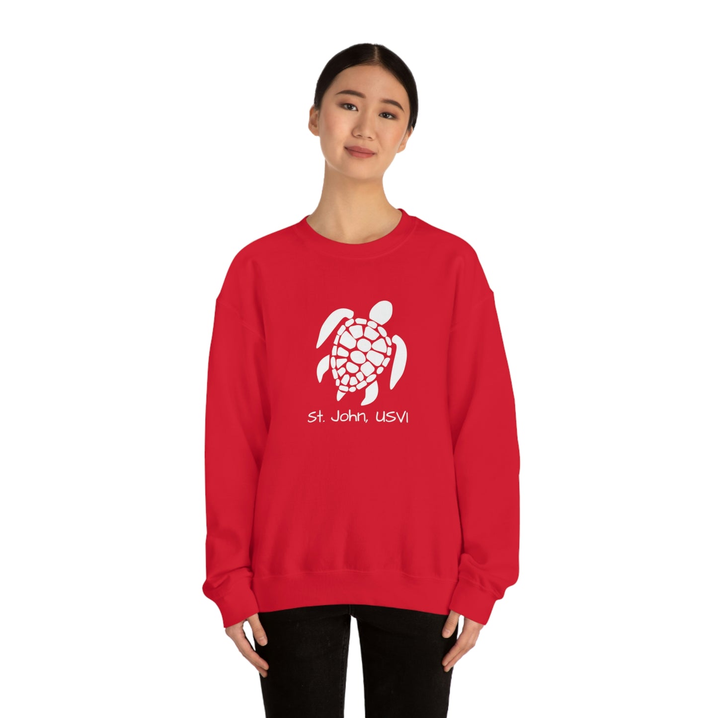 Pattern Turtle Crewneck Sweatshirt