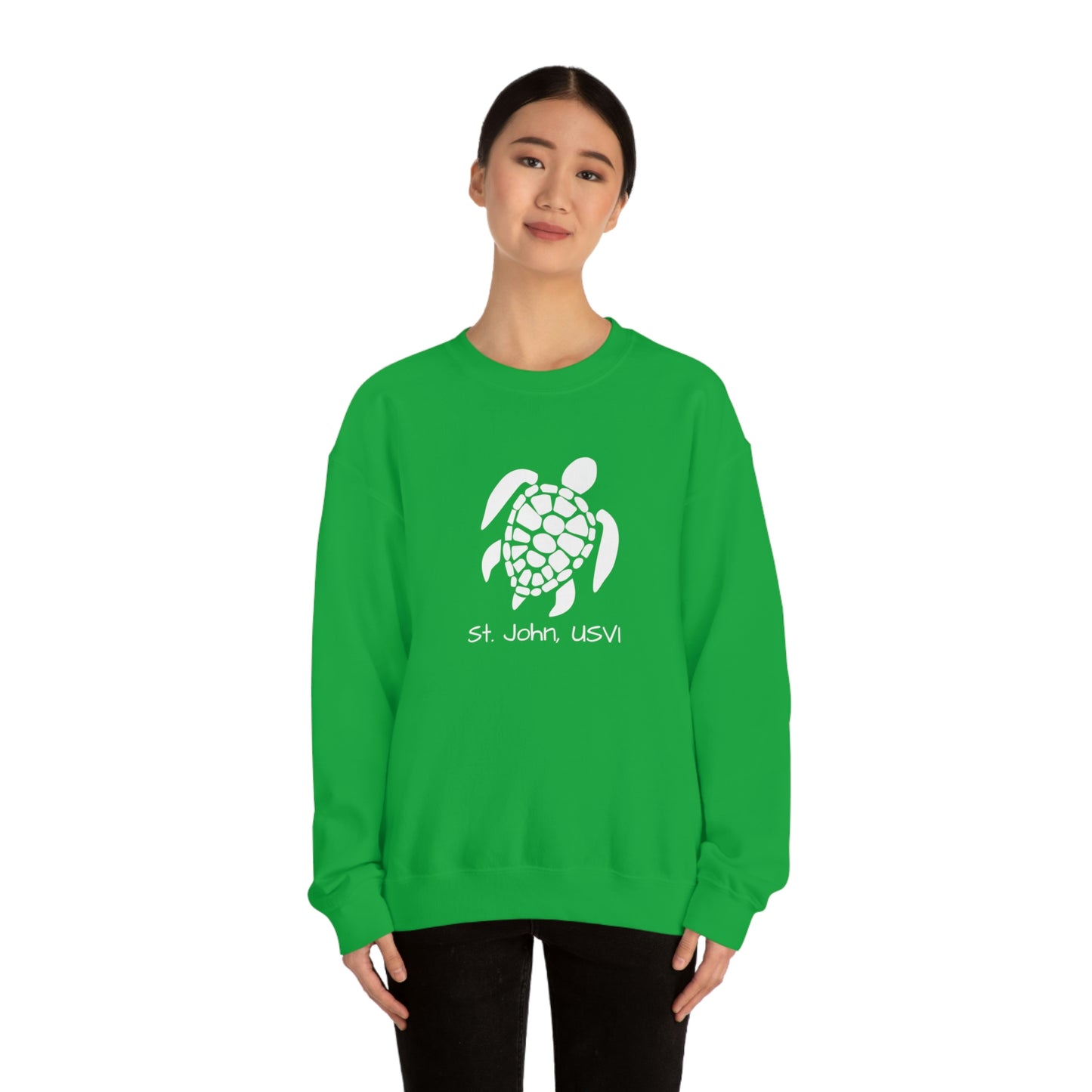 Pattern Turtle Crewneck Sweatshirt