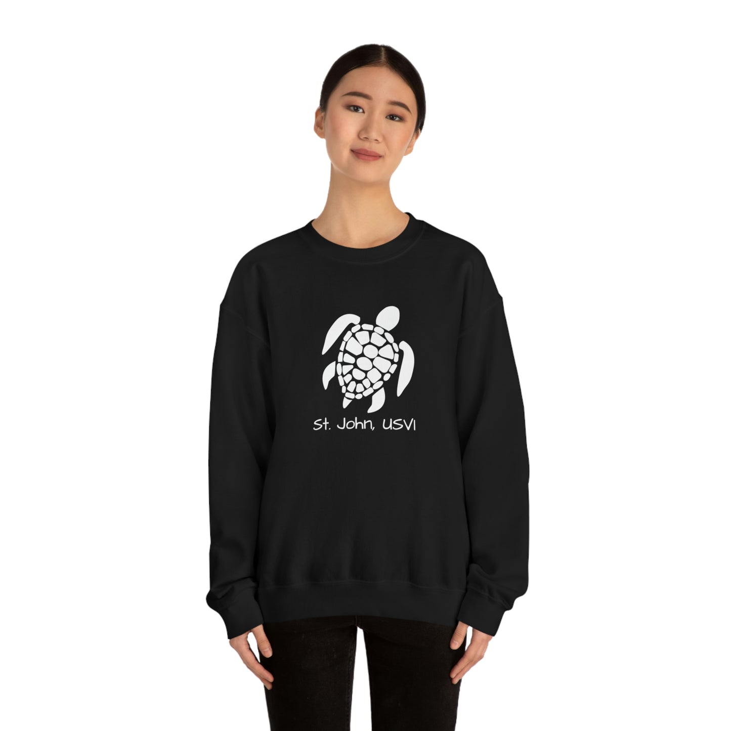 Pattern Turtle Crewneck Sweatshirt