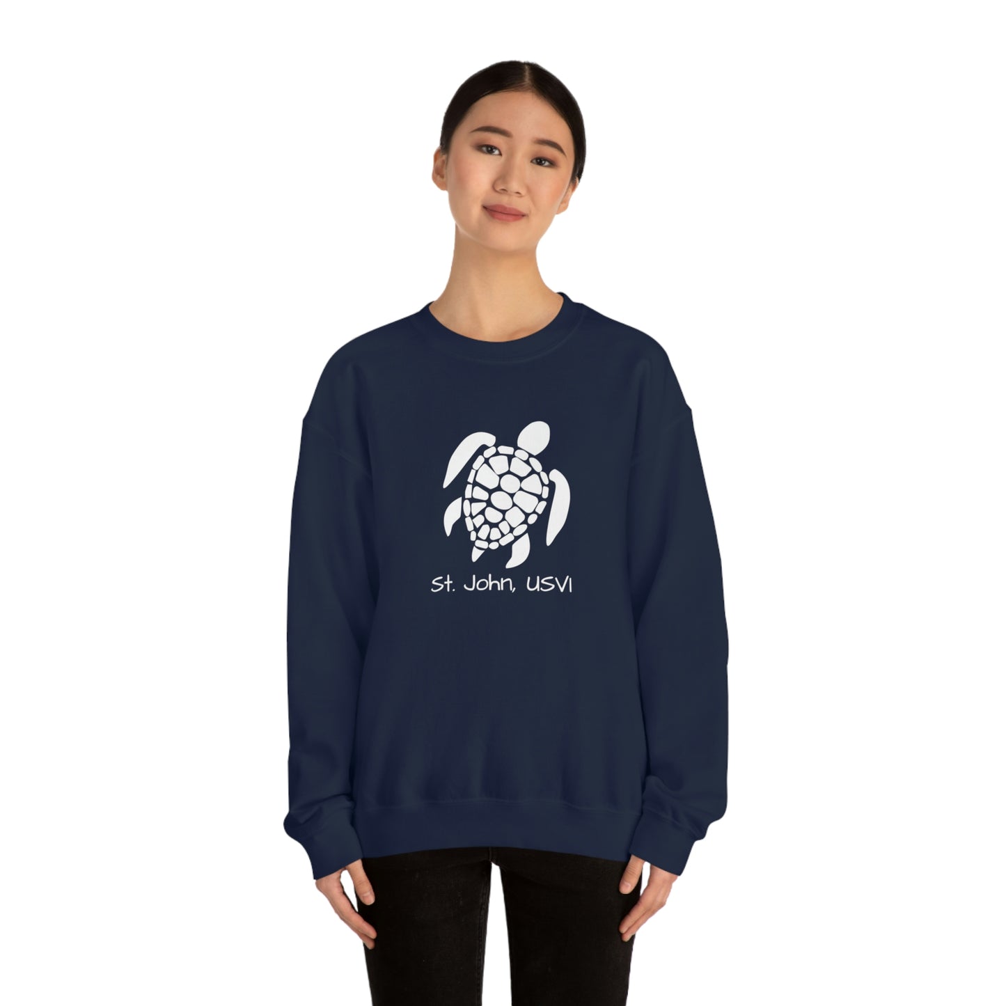 Pattern Turtle Crewneck Sweatshirt